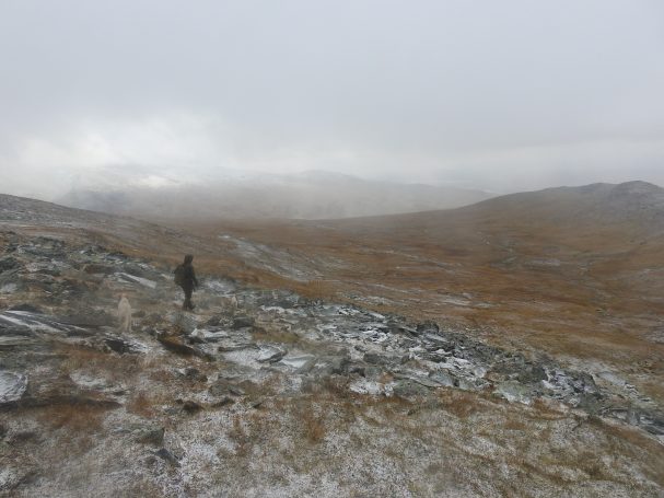 Chasse en Suède avec Autentic Chasse