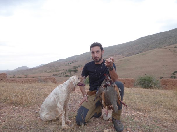 Chasse des perdrix au Maroc avec Autentic Chasse