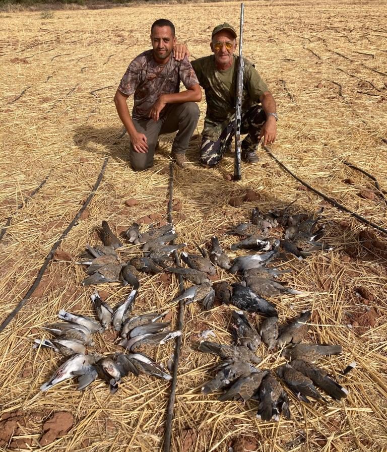 Chasse aux tourterelles avec Autentic Chasse
