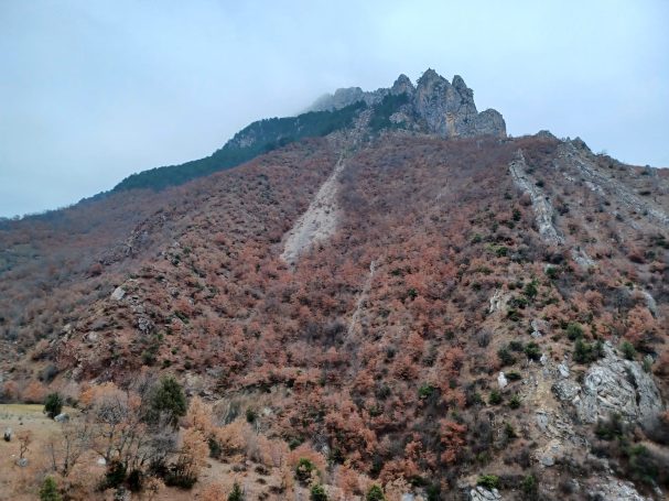 Chasse du sanglier en Turquie avec Autentic Chasse