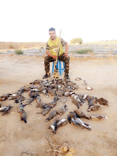 Chasse des tourterelles au Maroc avec Autentic Chasse