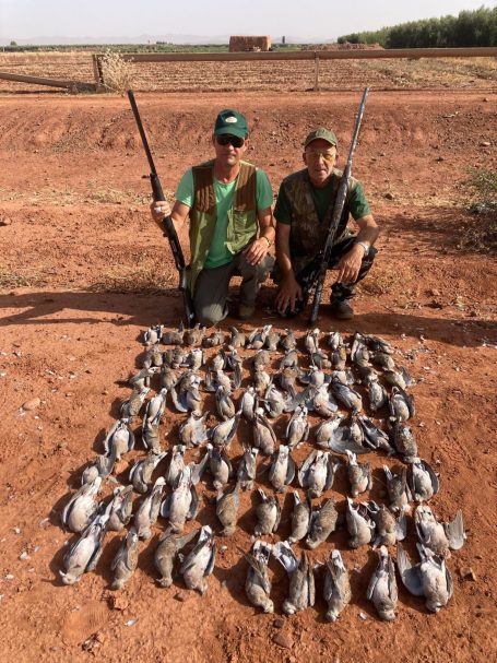 Chasse des tourterelles au Maroc avec Autentic Chasse