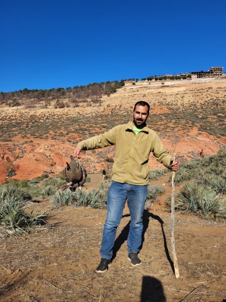 Chasse des perdrix au Maroc avec Autentic Chasse