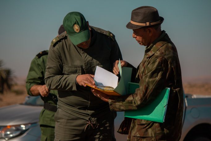 Chasse des sangliers au Maroc avec Autentic Chasse