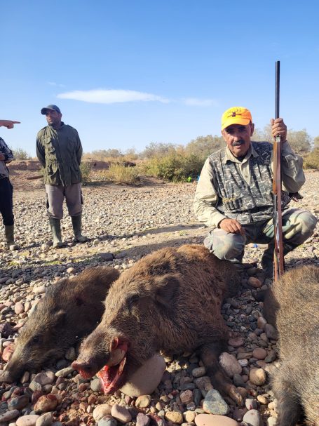 Chasse des sangliers au Maroc avec Autentic Chasse