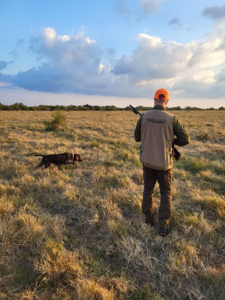Chasse des perdrix en Argentine avec Autentic Chasse