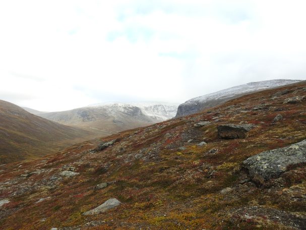 Chasse en Suède avec Autentic Chasse