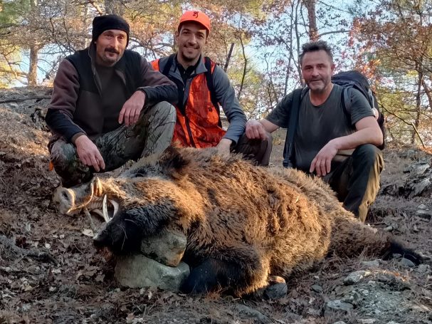 Chasse du sanglier en Turquie avec Autentic Chasse