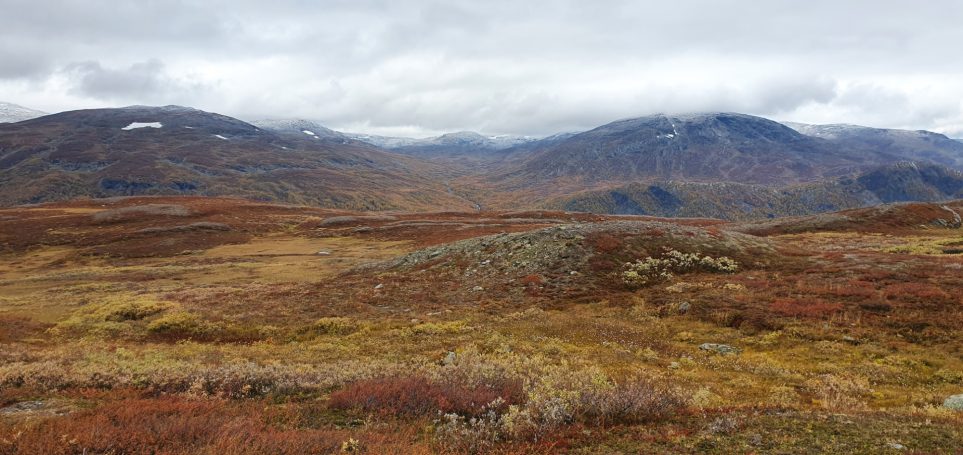Chasse en Suède avec Autentic Chasse