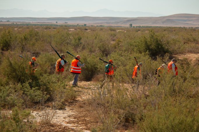 Chasse des sangliers au Maroc avec Autentic Chasse