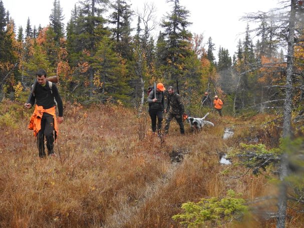 Chasse en Suède avec Autentic Chasse