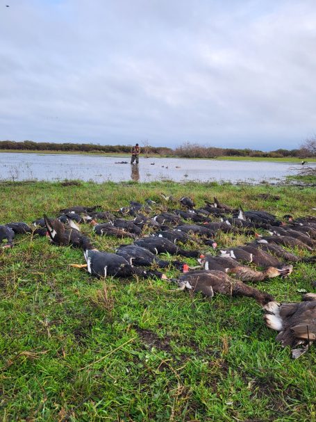 Chasse du canard en Argentine avec Autentic Chasse