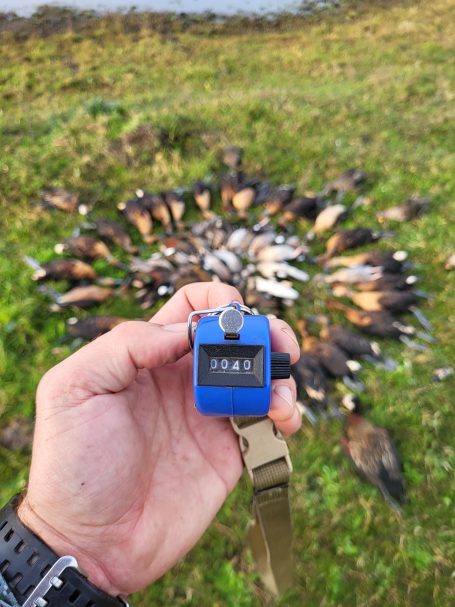 Chasse du canard en Argentine avec Autentic Chasse