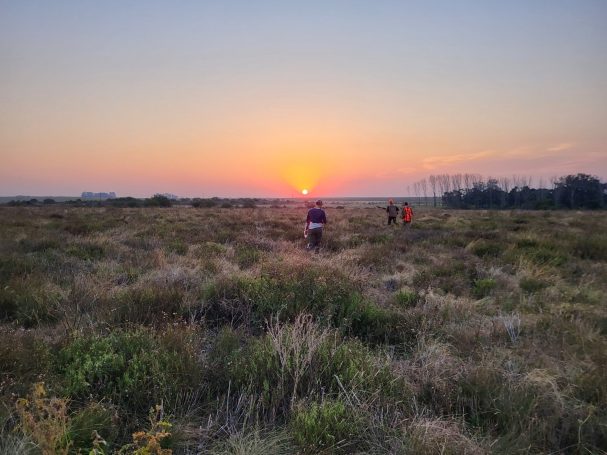 Chasse des perdrix en Argentine avec Autentic Chasse
