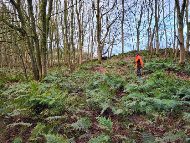 Chasse en Ecosse avec Autentic Chasse