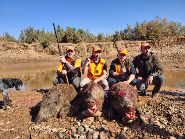 Chasse des sangliers au Maroc avec Autentic Chasse