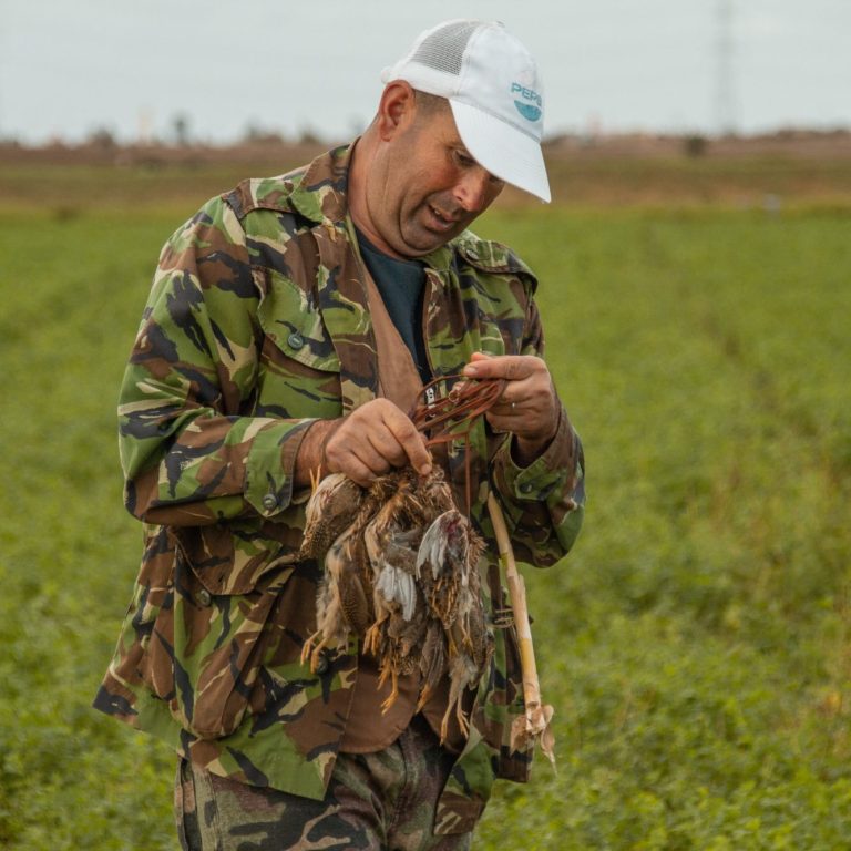Chasse des cailles au Maroc avec Autentic Chasse