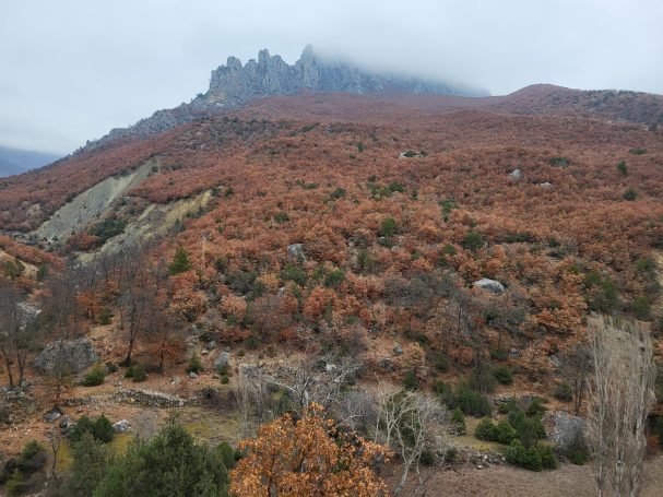 Chasse du sanglier en Turquie avec Autentic Chasse