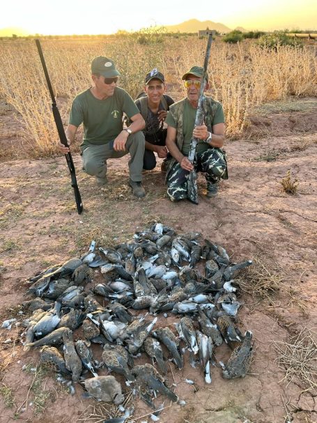 Chasse des tourterelles au Maroc avec Autentic Chasse