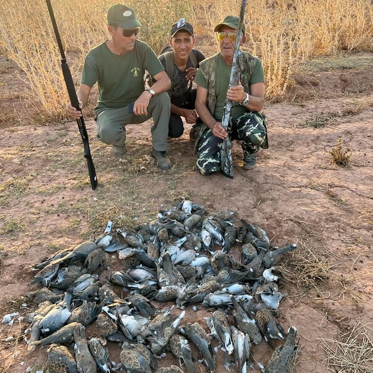 Chasse aux tourterelles avec Autentic Chasse
