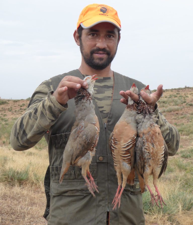 Chasse des perdrix au Maroc avec Autentic Chasse