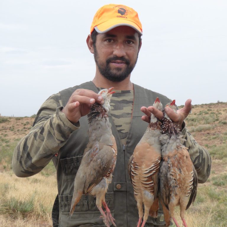 Chasse des perdrix au Maroc avec Autentic Chasse
