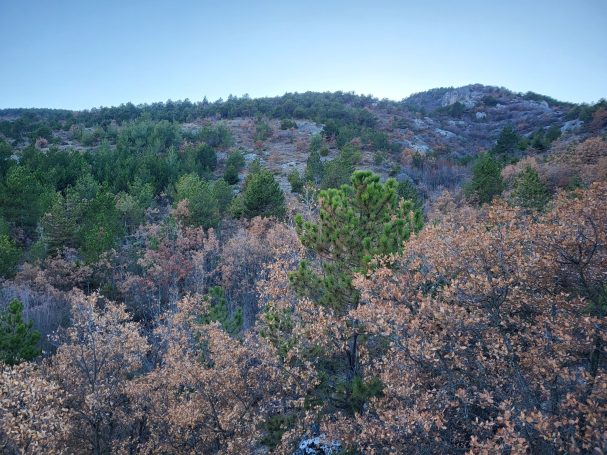 Chasse du sanglier en Turquie avec Autentic Chasse