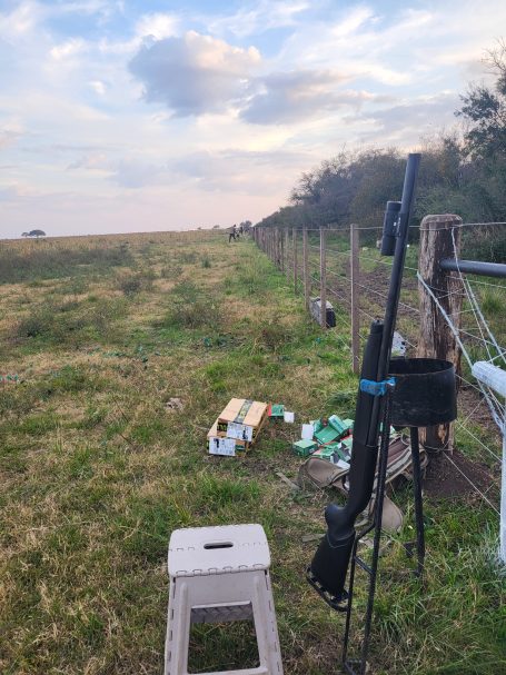 Chasse des tourterelles en Argentine avec Autentic Chasse