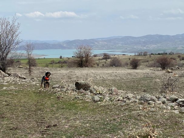 Chasse des bartavelles en Turquie avec Autentic Chasse