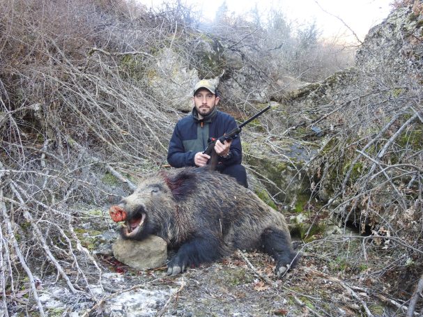 Chasse du sanglier en Turquie avec Autentic Chasse