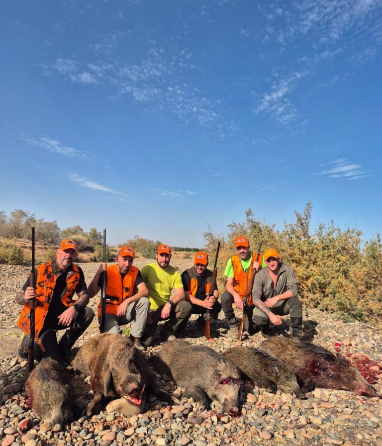 Chasse des tourterelles au Maroc avec Autentic Chasse