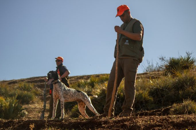 Chasse des perdrix au Maroc avec Autentic Chasse