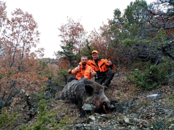 Chasse du sanglier en Turquie avec Autentic Chasse